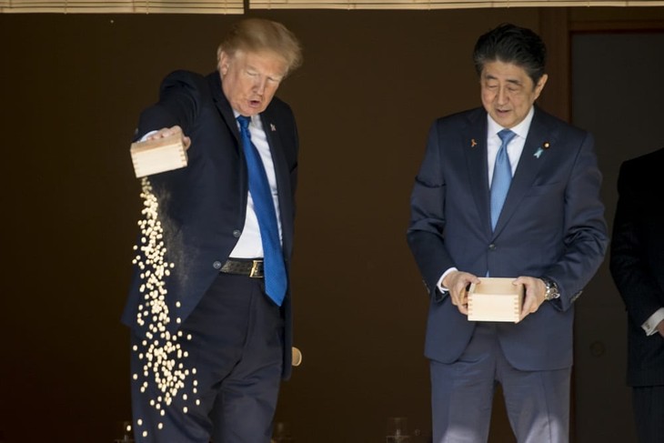 Media Becomes Koi Over the Trump Goldfish Feeding Scandal