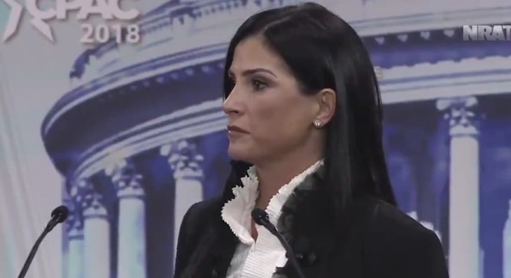 EXCLUSIVE: Dana Loesch Provides Correspondence Contradicting Former "Hey Dude" Star's Claim She Approached Him