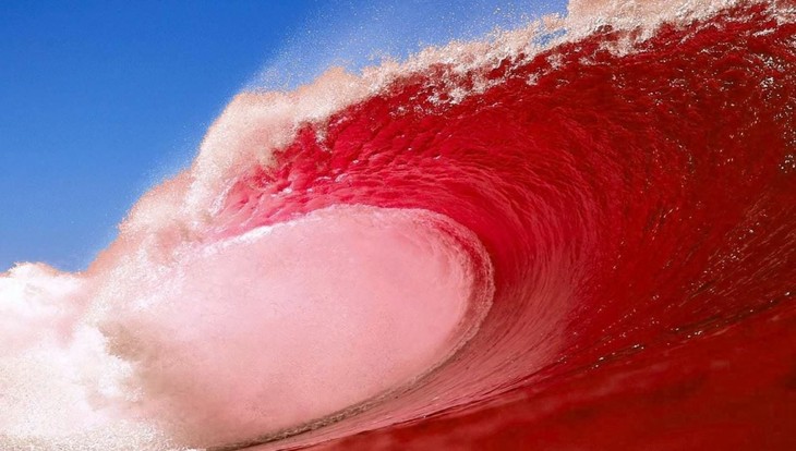 What if There's a 'Red Wave' in November?