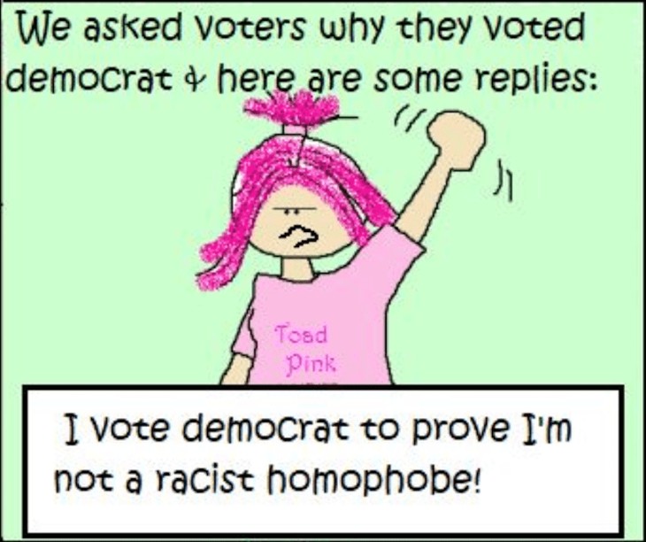 Cartoon: Why I Vote Democrat