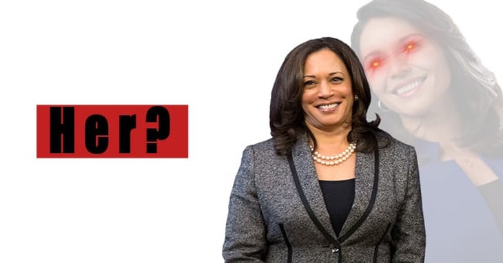 New Video Shows You Why Kamala Harris Was the Worst Possible Pick for Biden's VP