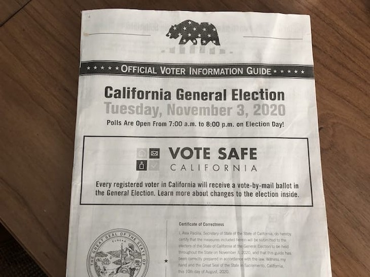 California Voter Guide Explainer