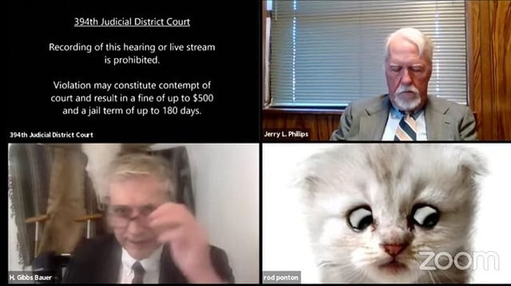 Texas Lawyer Shows up to Virtual Court Hearing With Cat Filter, Hilarity Ensues