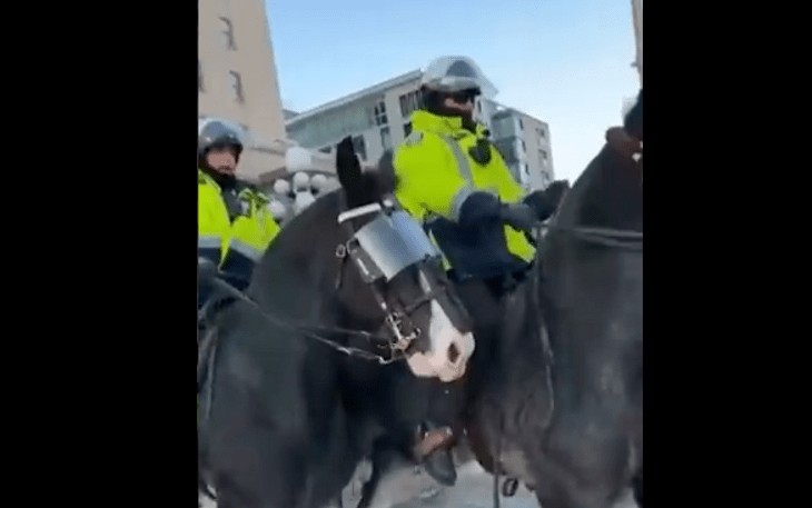 Ottawa Police Excuse for Horses Running Over Freedom Convoy Protesters Departs From Reality