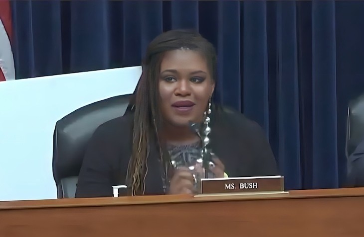 WATCH: Cori Bush Wants Us to Know She Won't 'Succumb to the Nihilist, Insurrectionist View of the 2nd Amendment,' America