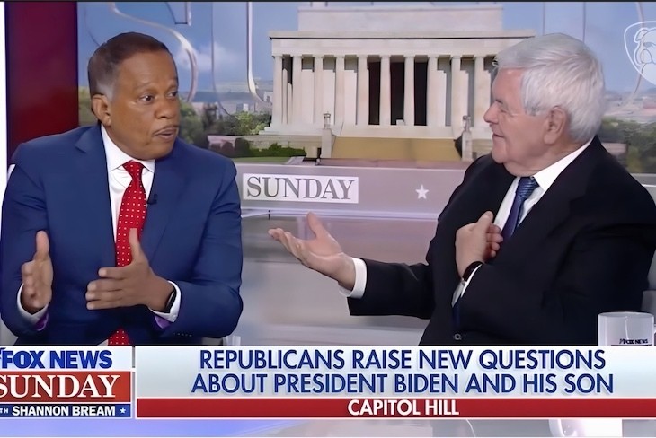 WATCH: Newt Gingrich Shreds Fox News Contributor Juan Williams' Silly Attempt to Defend the Bidens